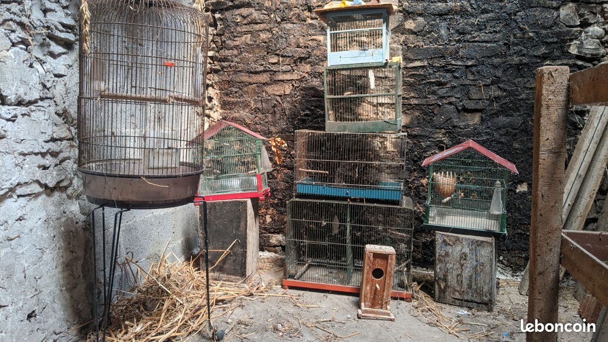 Volieres (image 3)