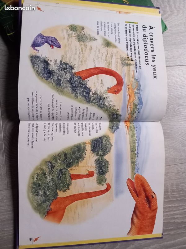Lot livres sur les dinosaures (image 9)