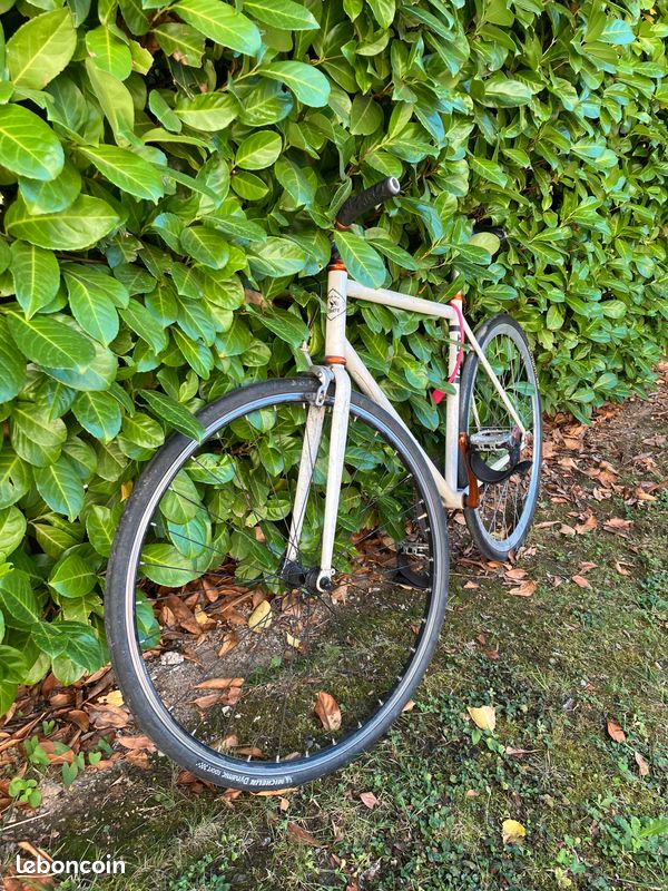 Vélo pignon fixe / fixie – bon état – prêt à rouler (image 2)