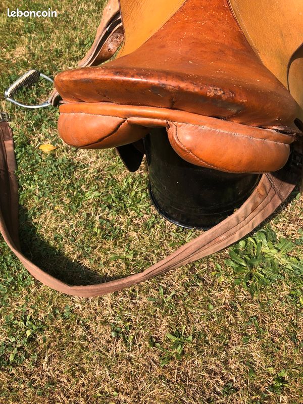 Selle de cheval (image 6)