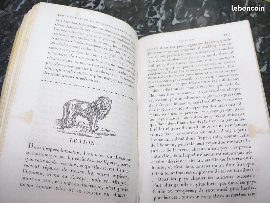 Morceaux choisis de buffon1830 reliure gravures animaux terre ethnologie anthropologie faune (image 5)