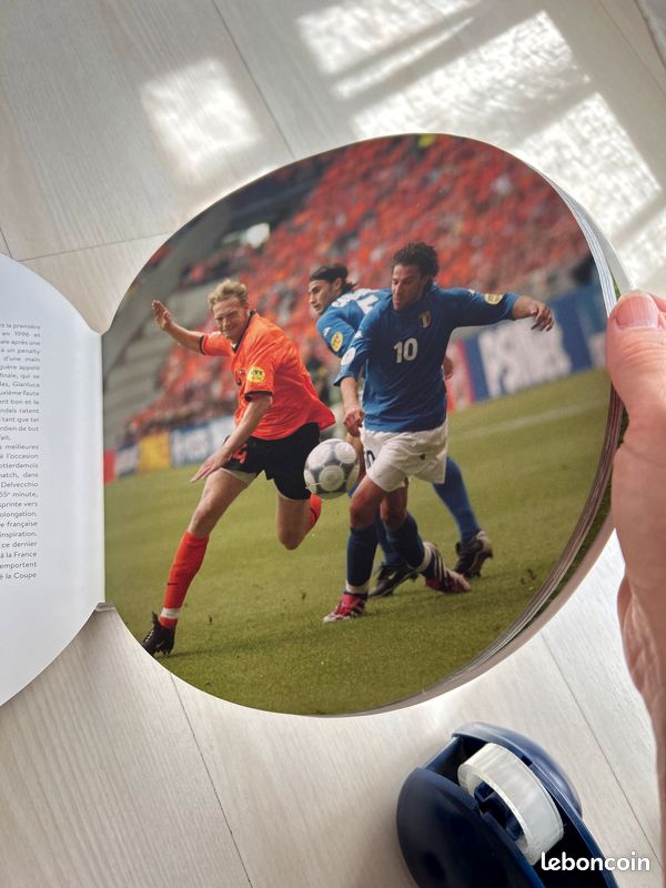 Livre football uefa euro 2016 France (image 2)