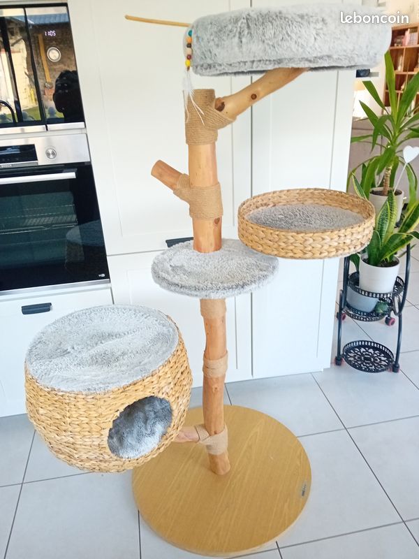 Arbre à chat naturel, en bois de poirier 155cm (image 1)