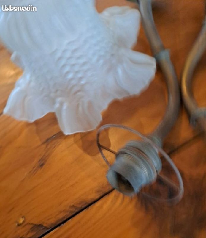 Lampes tulipe (image 3)