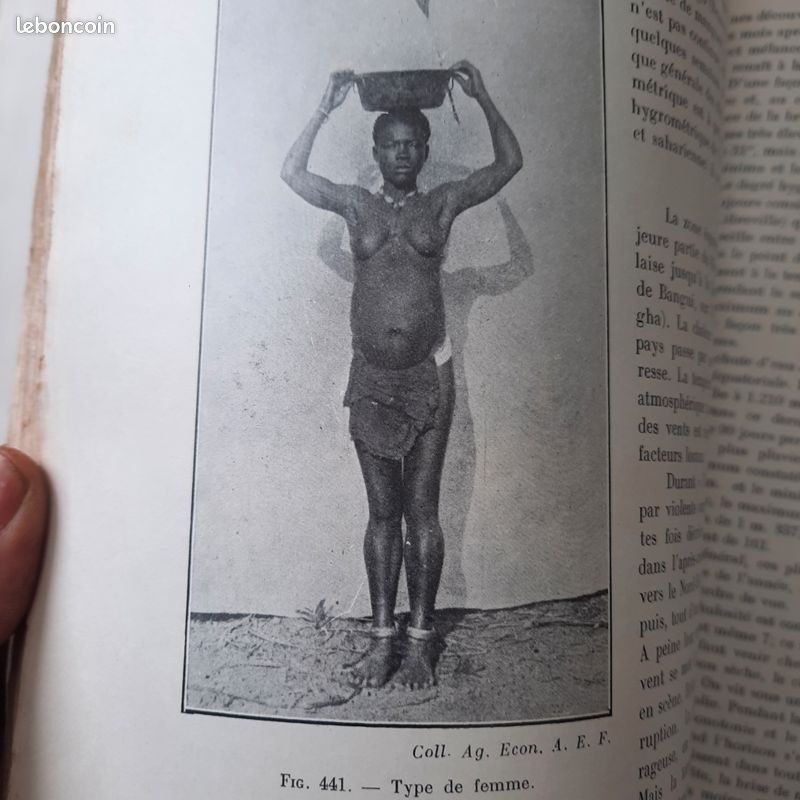 Le domaine colonial Français. Afrique du Nord et Afrique Noire. 1929 (image 15)