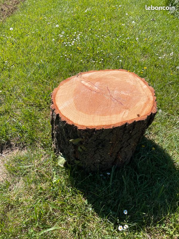 Rondin de bois en deco (image 2)