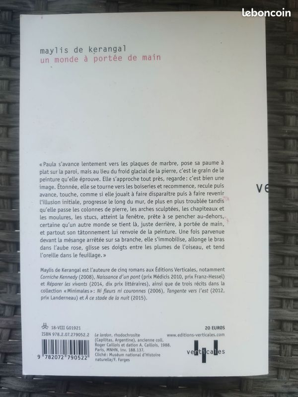 Maylis de Kerangal - Un monde à portée de main (image 2)