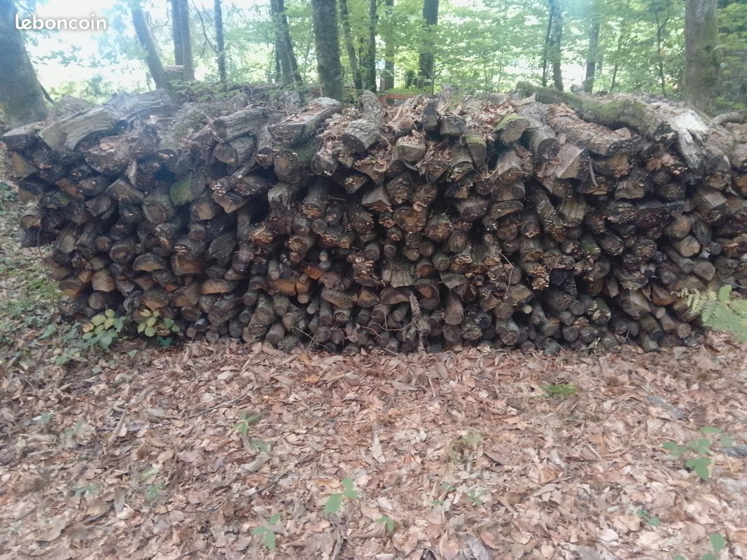 Bois de chauffage (image 2)