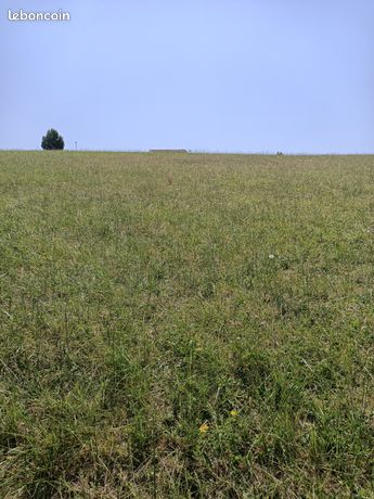 Vends grand terrain constructible 2 502 m² – Gibel (31560) – Particulier