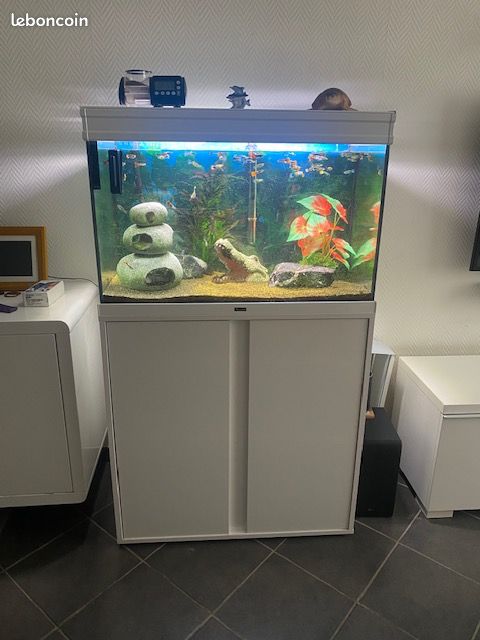 Aquarium complet (image 1)