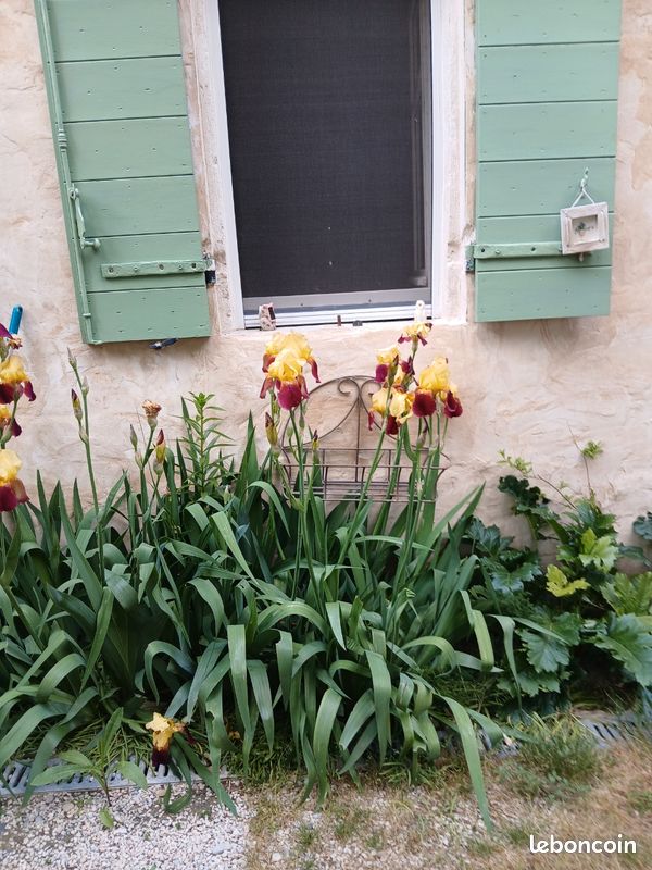 Maison 4 pièces 18 m² · à Monteux · 18 m² · 440 €/mois