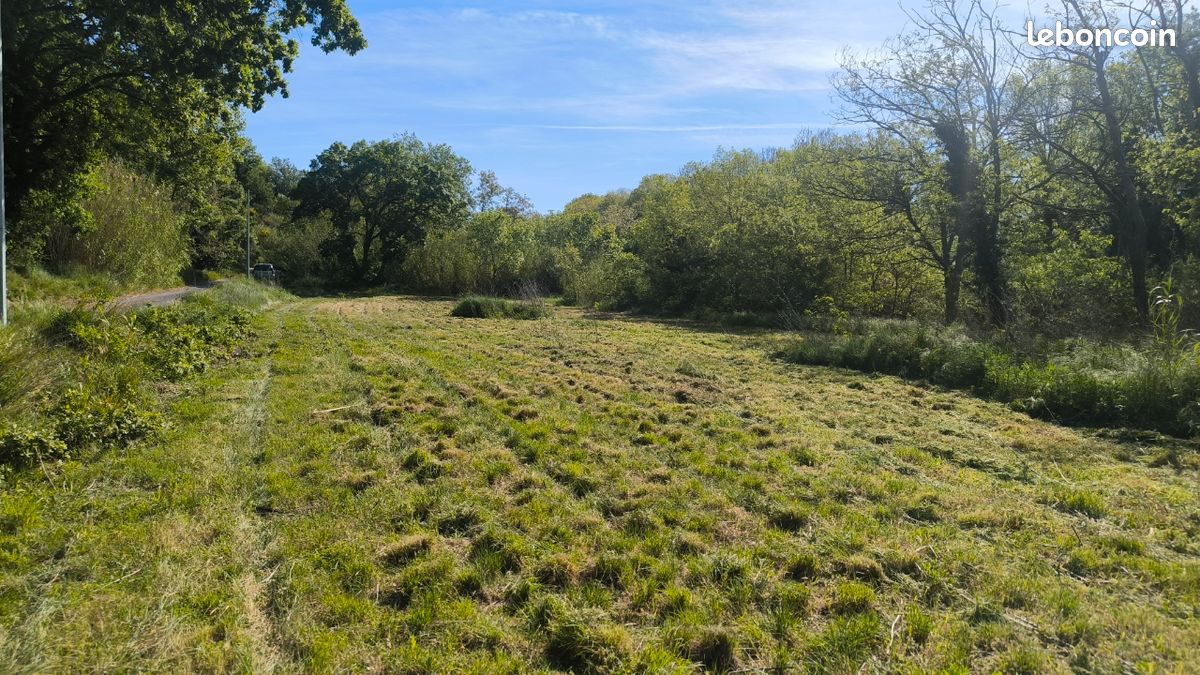 Terrain agricole ou de loisirs · à Ille-sur-Têt · 15 000 €