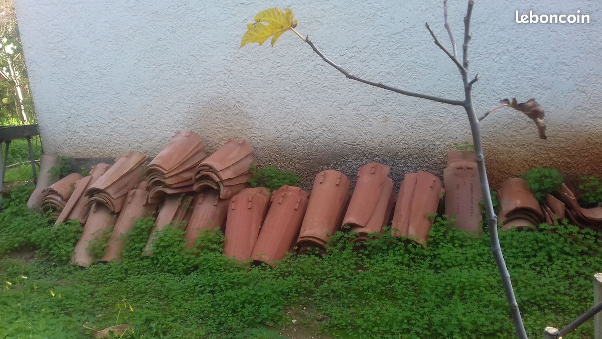 Tuiles (image 2)