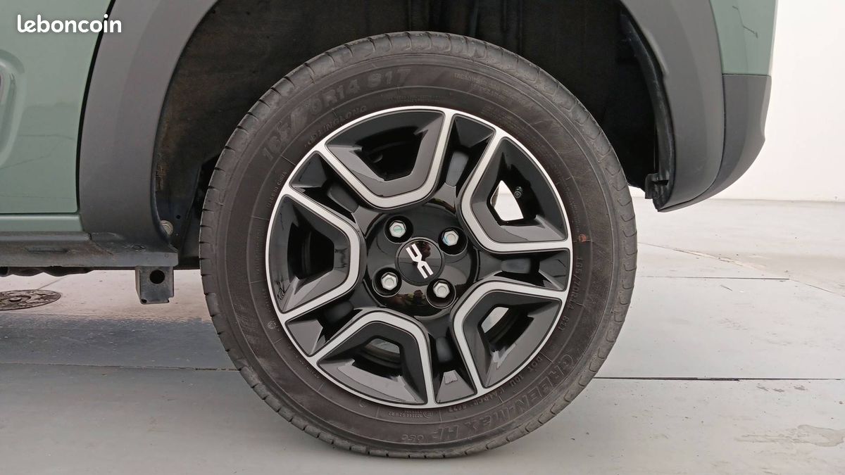 Dacia spring expression (image 10)