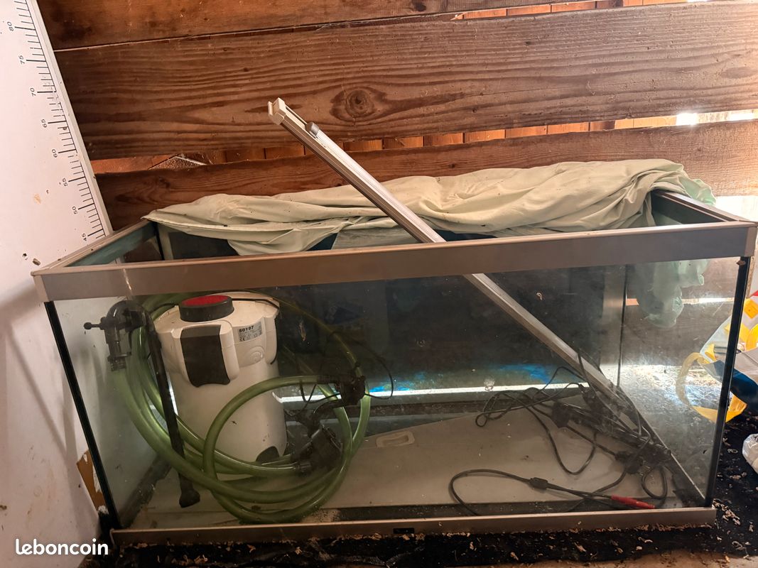Aquarium (image 1)