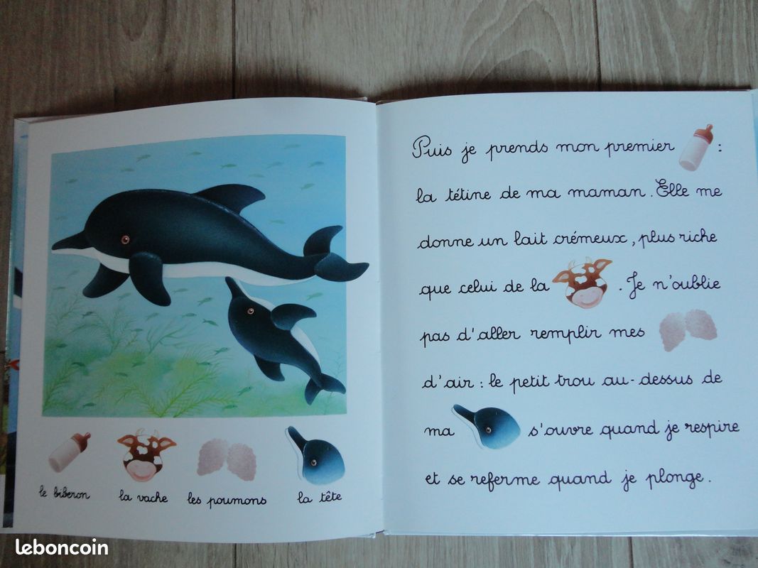 Livre Je lis avec le dauphin (CP) (image 2)