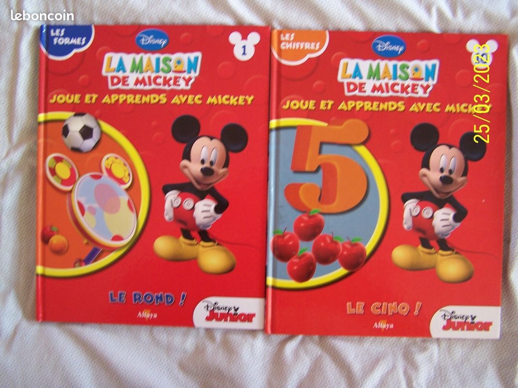La maison de mickey (image 1)