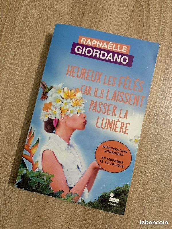 Heureux les fêlés car ils laissent passer la lumière - Raphaëlle Giordano (image 5)