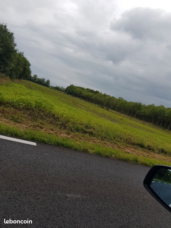 Terrain agricole 12000m2 · à Ambarès-Et-Lagrave · 55 000 €