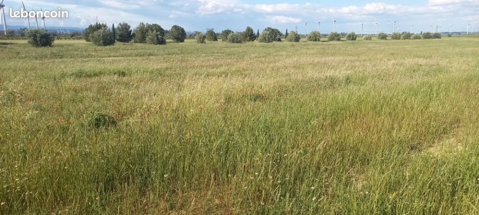 Terrain 537 m² · à Cruscades · 85 000 €