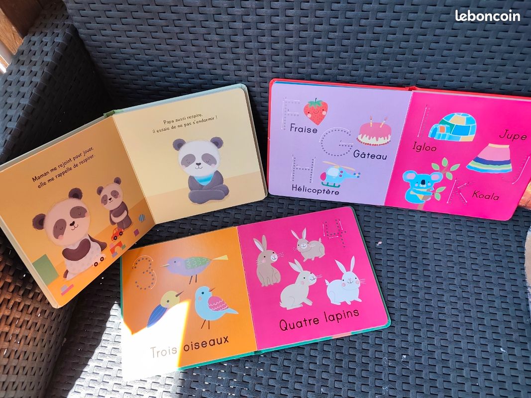 Lot 3 livres (image 2)