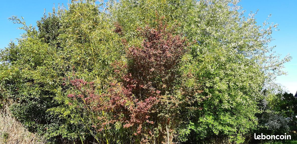 Terrain 233 m² · à Bruz · 115 990 €