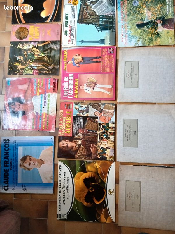 Lot de ~32 Vinyles 33 tours (Prince, Cloclo, Rock, Accordéon, Classique...) ou à l'unité (image 2)