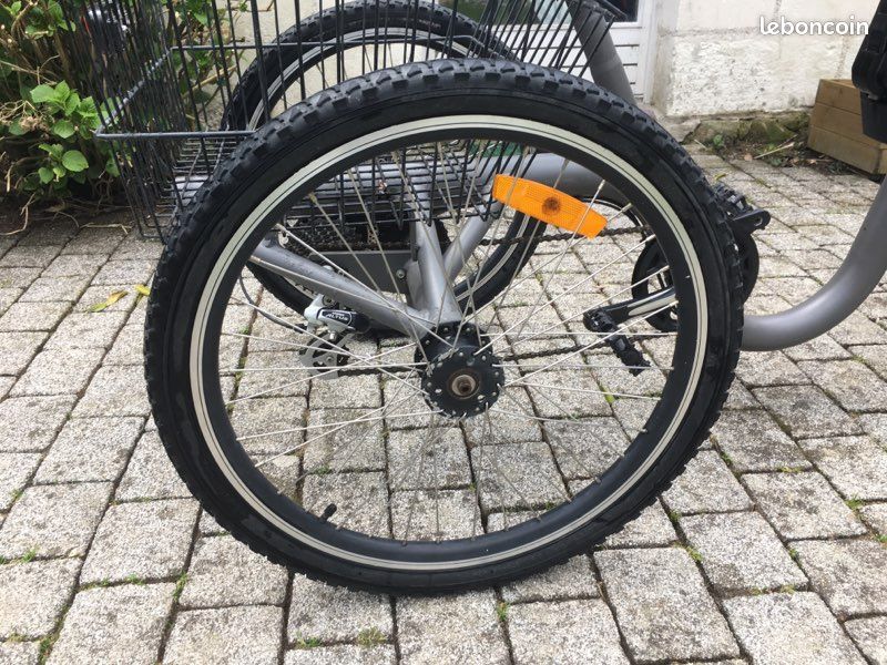Vélo 3 roues adulte Damius Évasion (image 4)