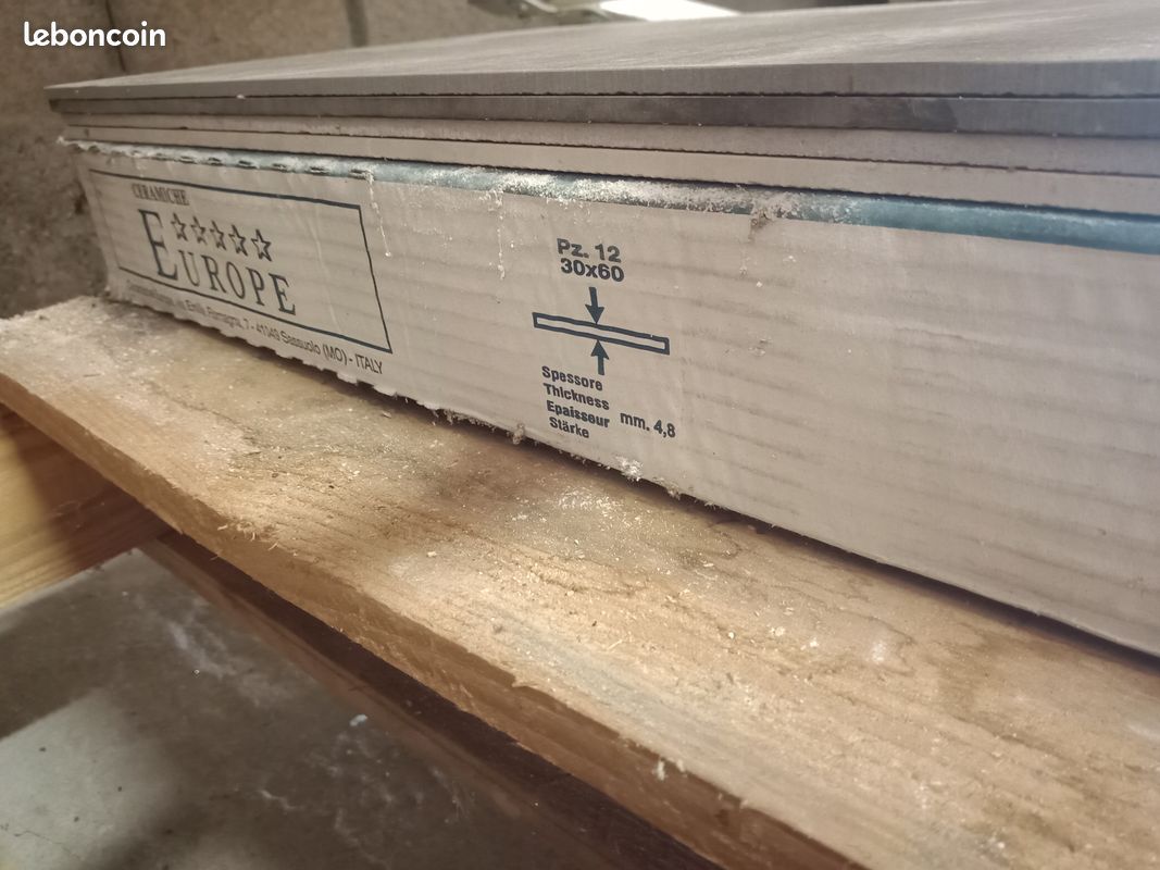 Dalles carrelage 60x30 fin (image 3)