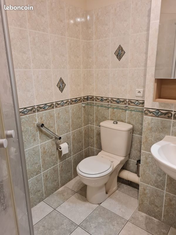 Studio 1 pièce 29 m² - Brive-la-Gaillarde 19100 (image principale 7)