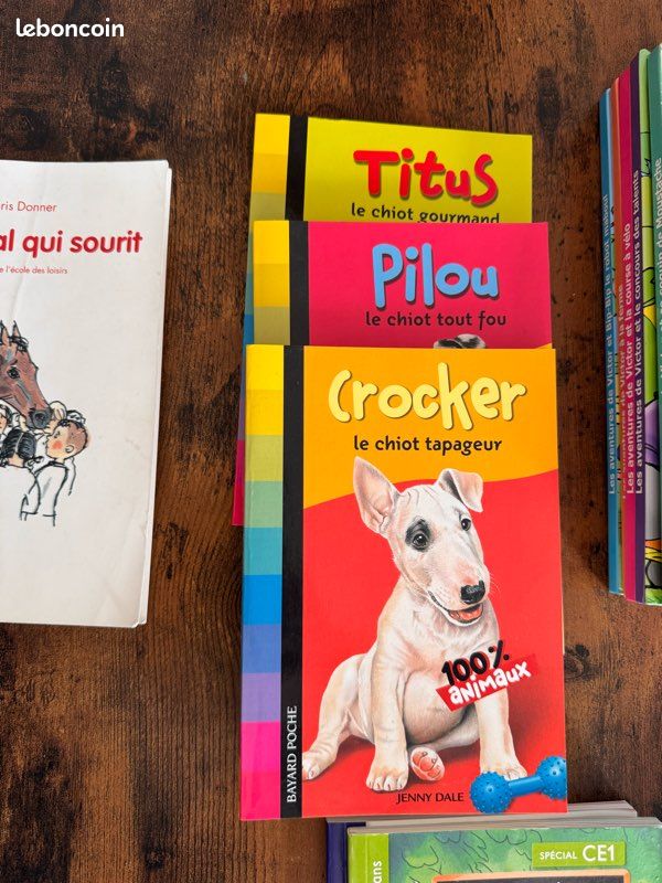 Lot livres enfant 6 à 9 ans (image 10)