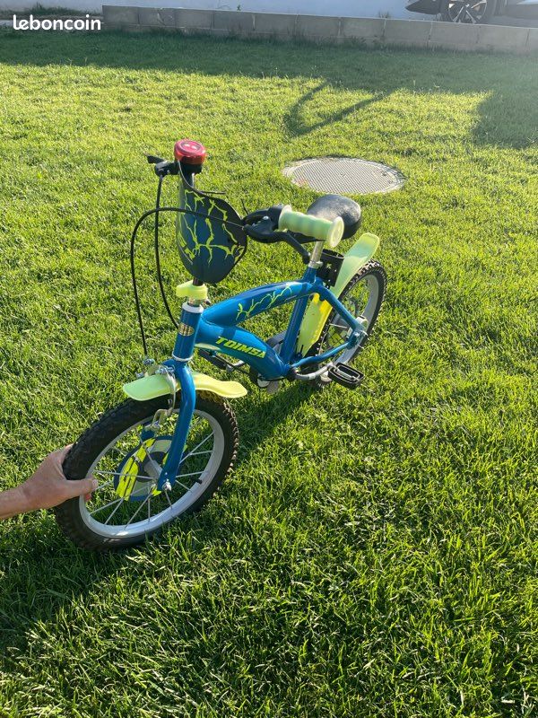Toimsa Vélo 16 Vintage Rose 16229