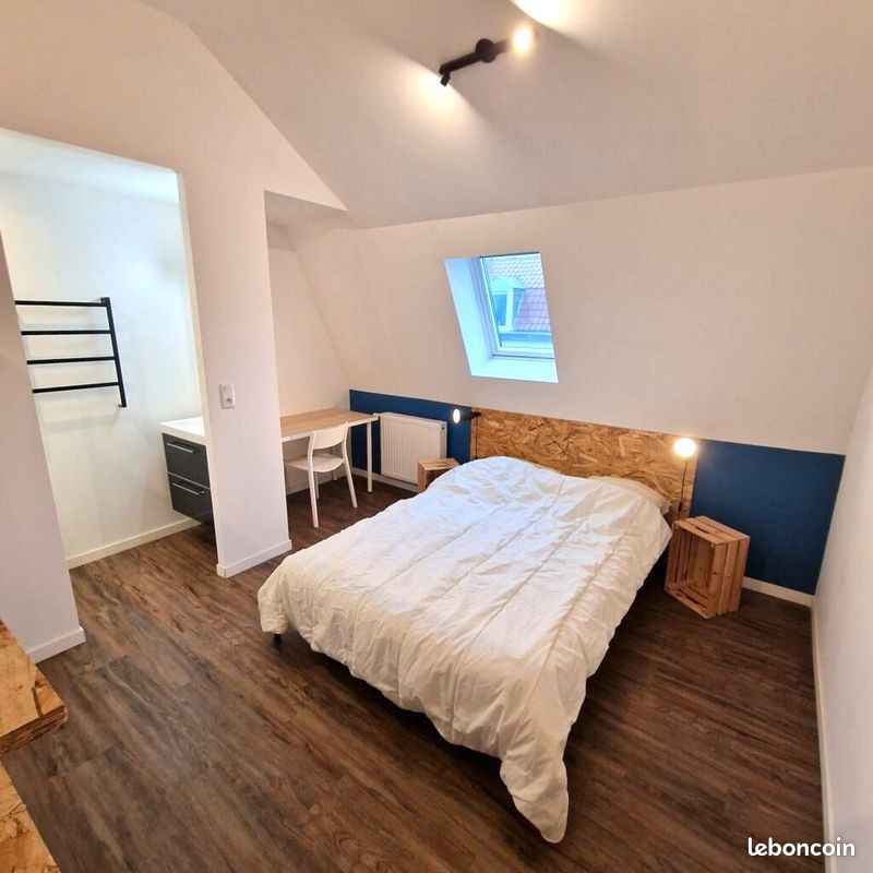 Appartement 1 pièce 59 m² · à Lille · 59 m² · 530 €