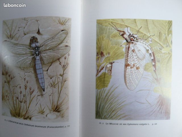 Livre Ancien Les Insectes Tome I - Paul-A. Lachaux - Delachaux & Niestlé 1946