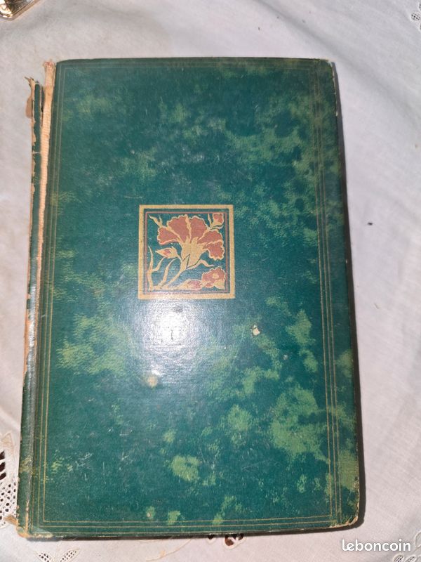 Livre ancien – Blasco Ibáñez « Dans l’ombre de la Cathédrale » – Calmann-Lévy (image 1)