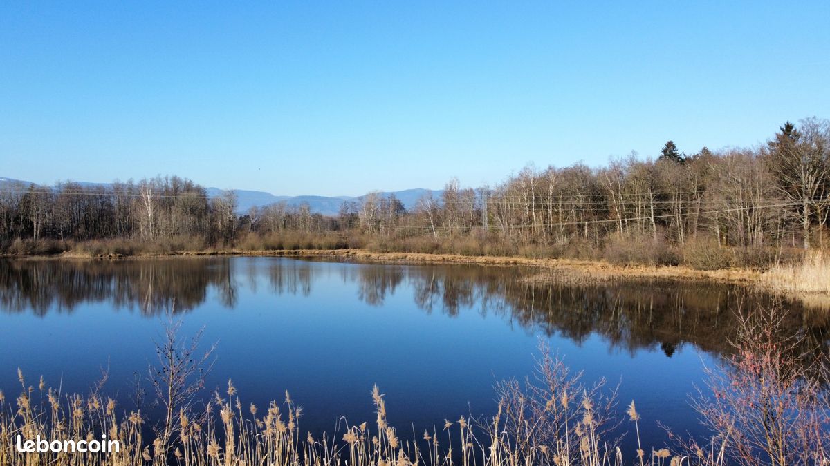 Terrain 39191 m² Sermamagny (image 6)
