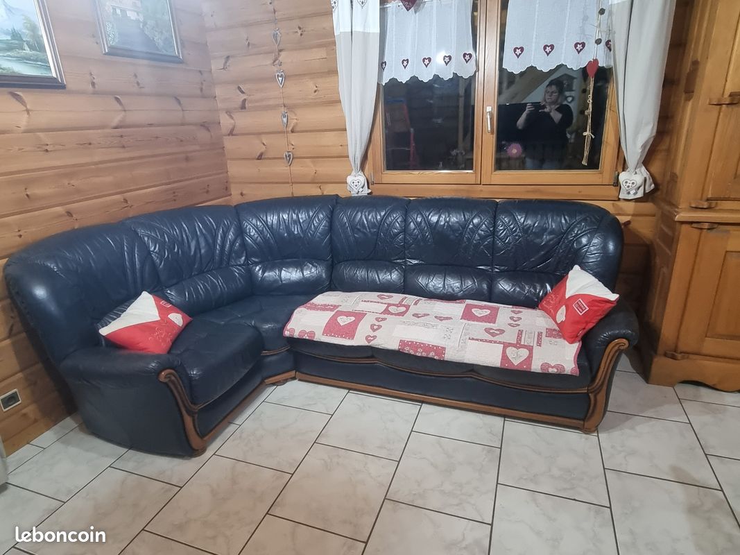 Vend canapé en cuir (image 1)