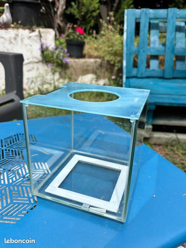 Aquarium idéal combattant / Betta (image 1)