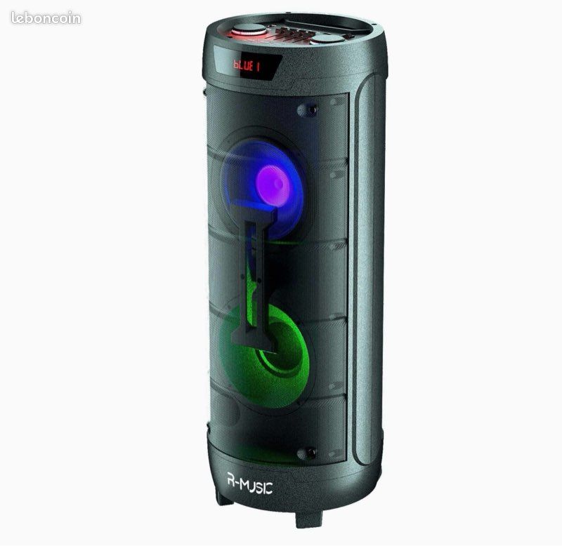 Enceinte R-MUSIC +2 micros (image 3)