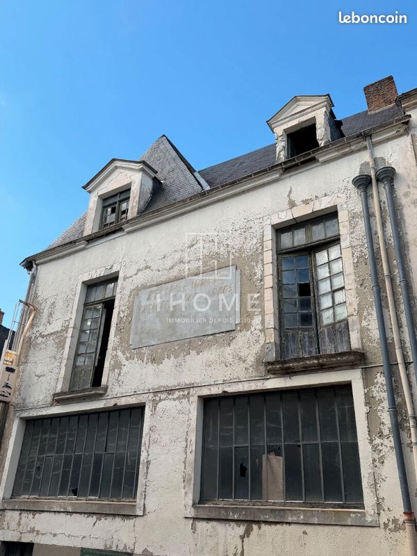 Immeuble 10 pièces 300 m² · à La Flèche · 300 m² · 316 500 €