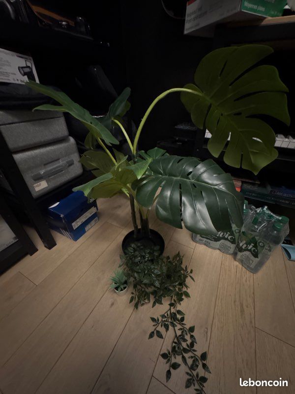 Monstera artificielle IKEA FEJKA  tat nickel - Dcoration