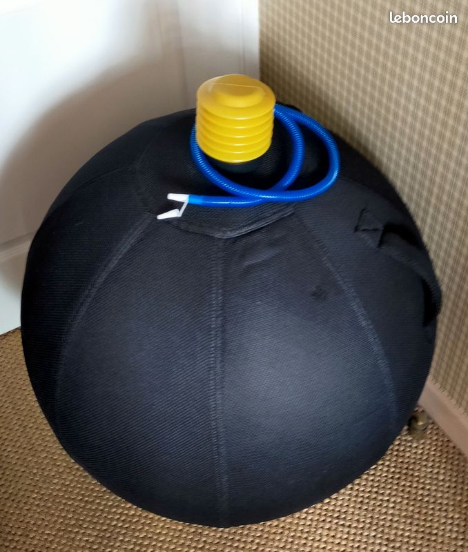 Balle assise ergonomique ballon ZEN noir (image 2)