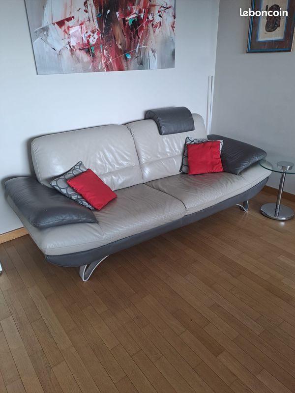 Canapé Roche Bobois (image 1)