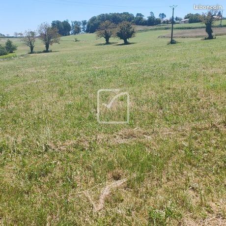 Terrain 7350 m² Saint-Projet