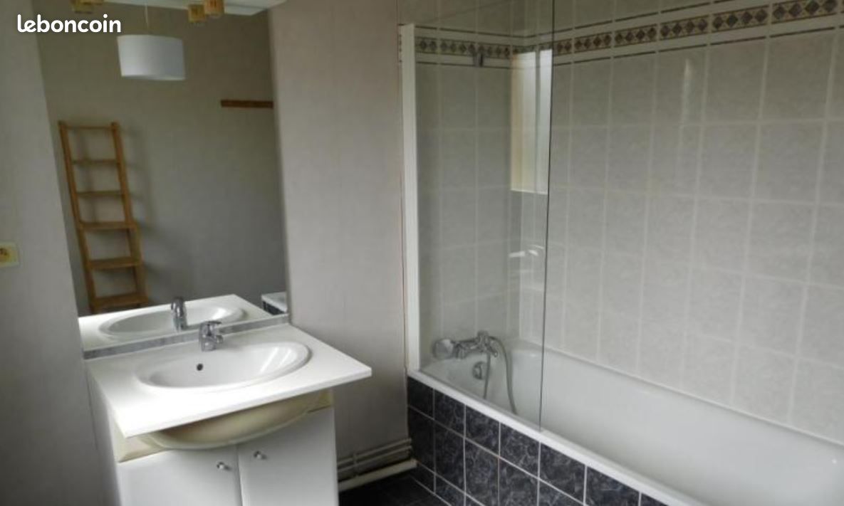 Appartement 1 pièce 88 m² - Poitiers 86000 (image principale 7)