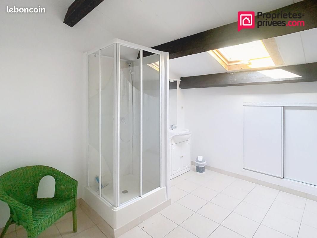 Maison 15 pièces 410 m² (image 15)
