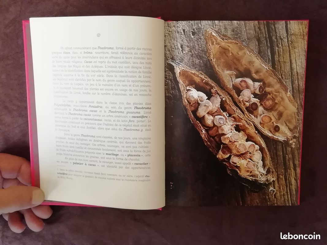 Ma langue au chocolat (image 9)