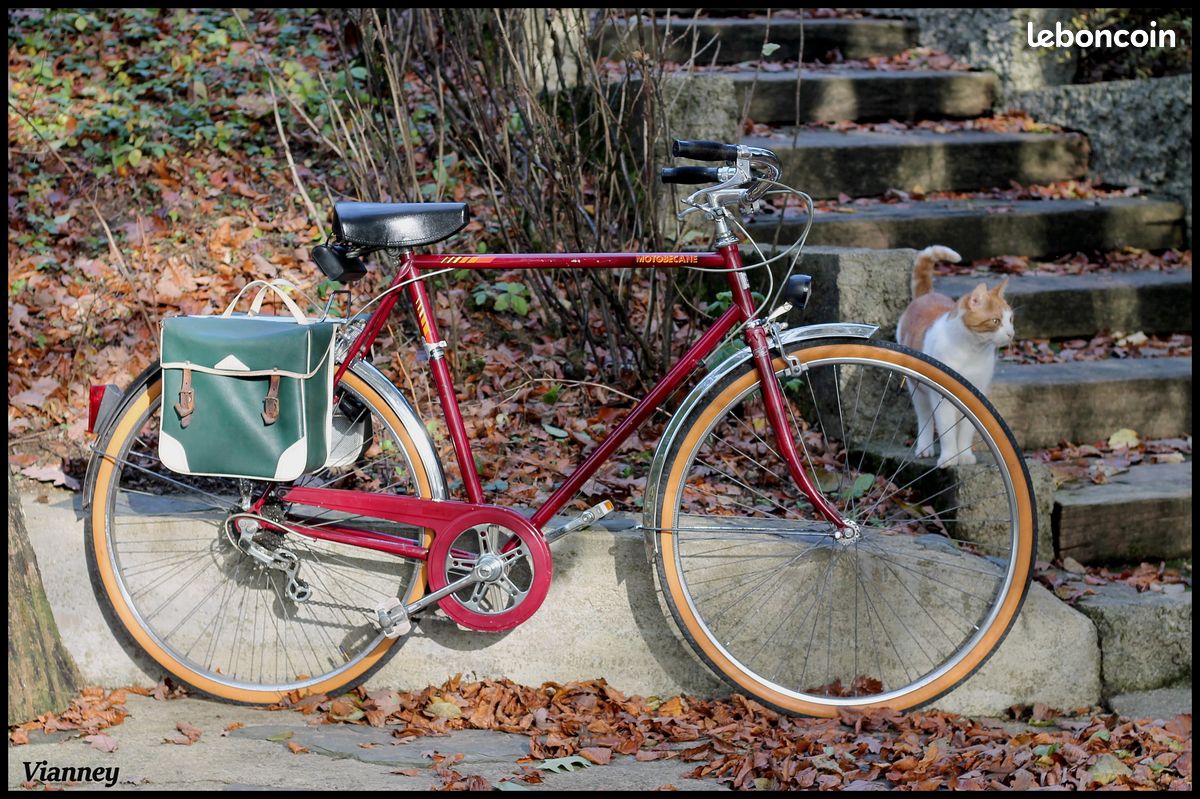 Collection de vélo (image 5)