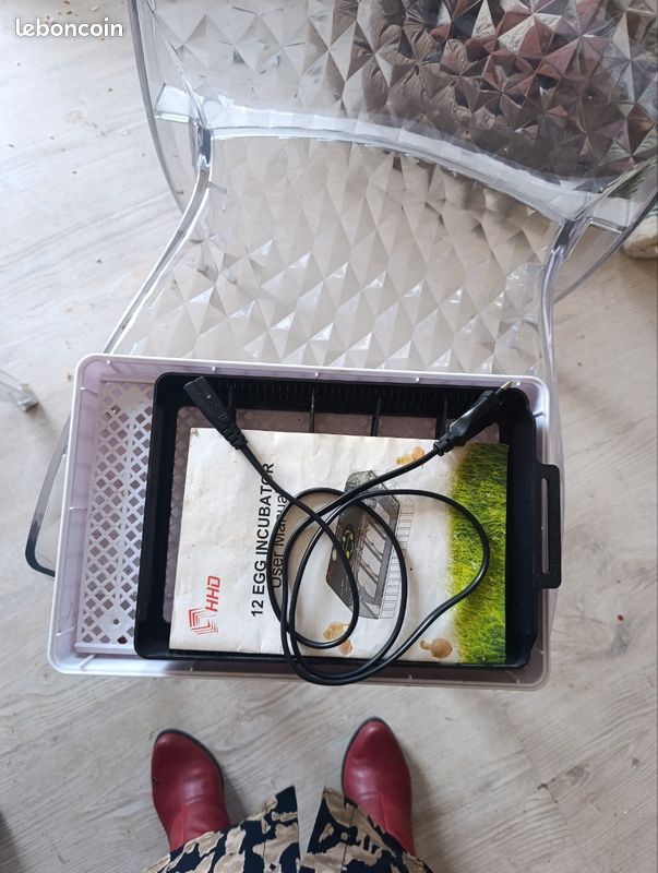 Vds couveuse poule (image 2)
