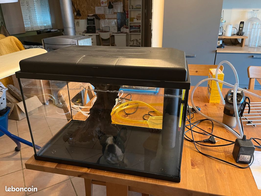 Aquarium complet et accessoires (image 1)